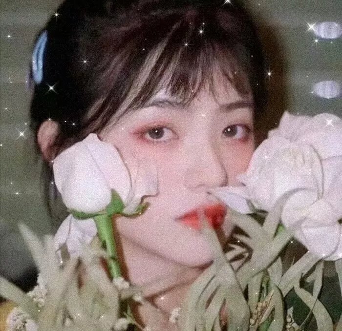 杀人蕃茄回归
